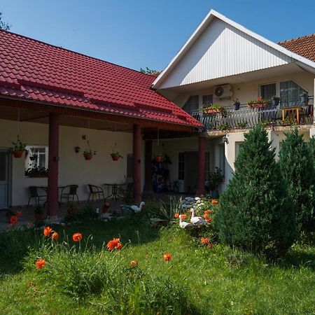 Hotel Denisa & Rares Tasnad Exterior foto
