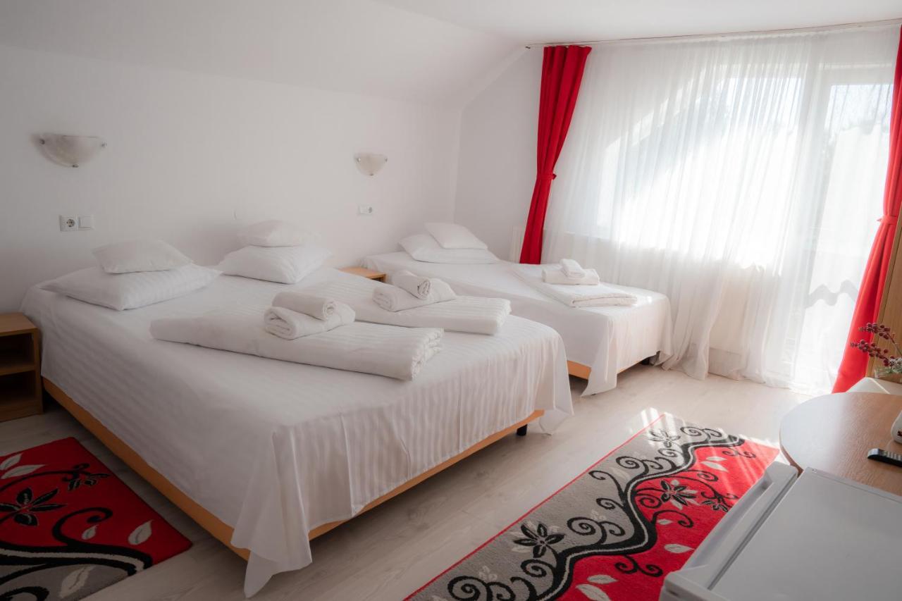 Hotel Denisa & Rares Tasnad Exterior foto