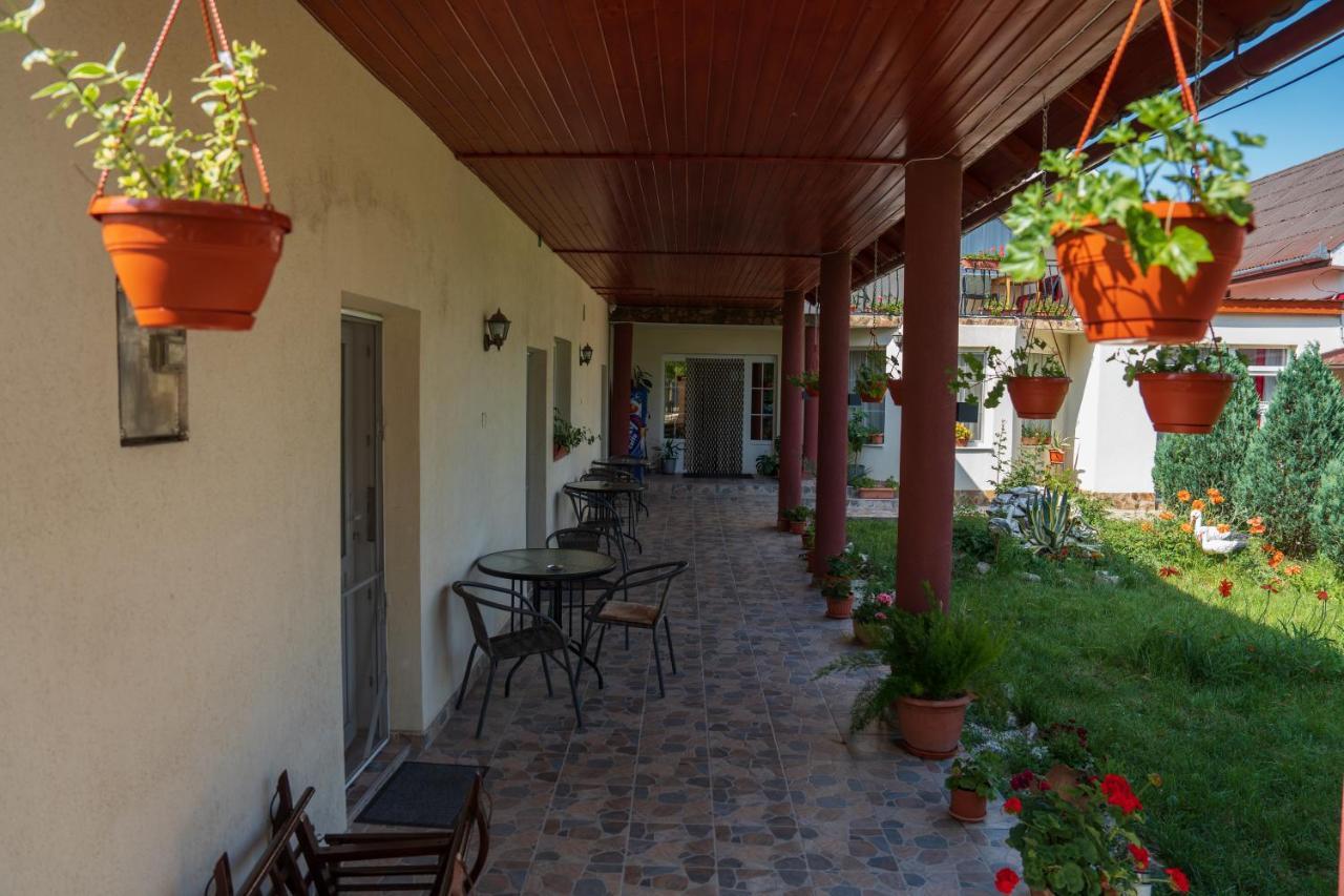 Hotel Denisa & Rares Tasnad Exterior foto